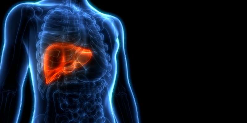 Hepatit Nedir? Hangi Hastalıkları Tetikliyor?